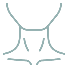Neck
