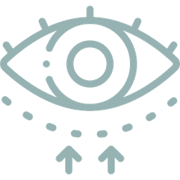 Eyes