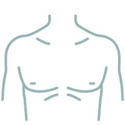 Chest