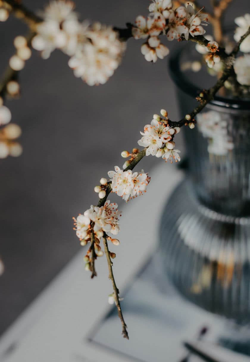 Spring blossom branch in a vase — Easter gift cards at Carisma Aesthetics Malta