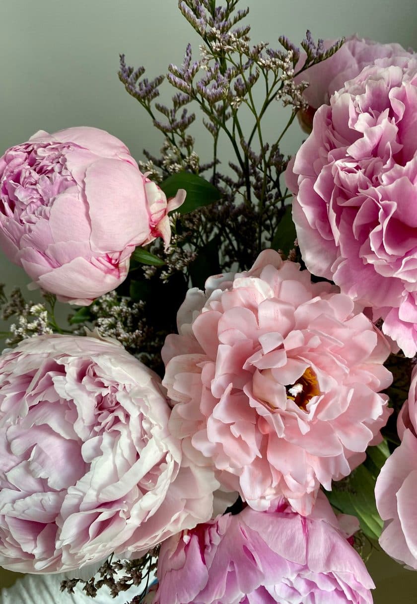 Full bloom pink peonies — Mother's Day gift cards at Carisma Aesthetics Malta