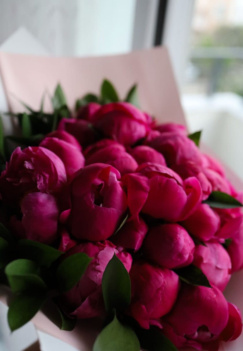 Magenta peonies in bloom — Women's Day gift cards at Carisma Aesthetics Malta